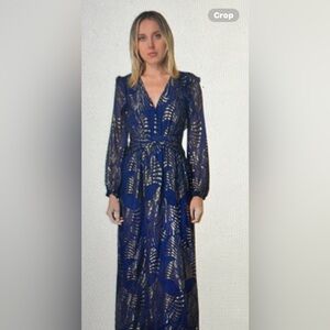 Rachel Zoe maxi dress